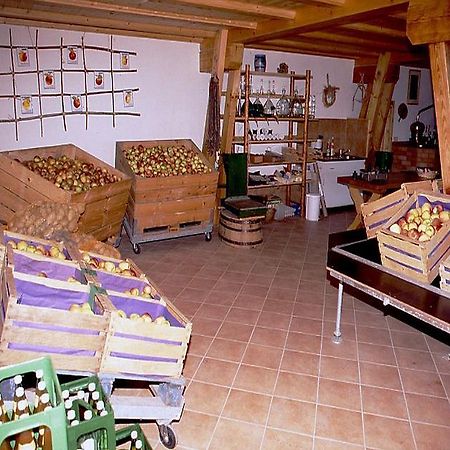 Ferienwohnung Aichem Радольфцелль-ам-Бодензе Екстер'єр фото